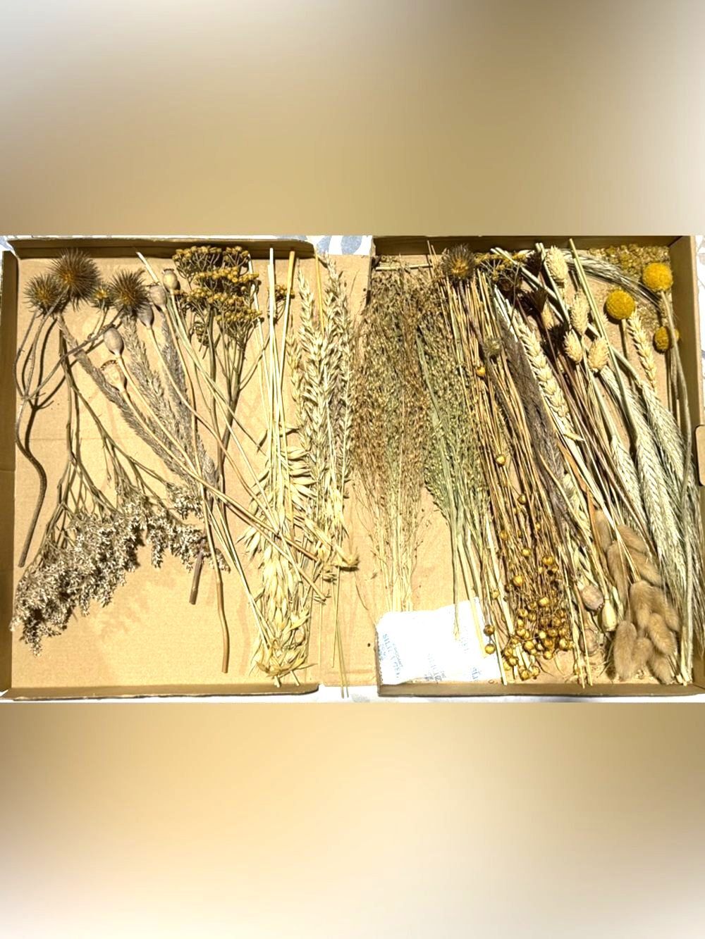Dried Wildflower Mix - Neutral Tones